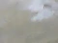 Tanczacy z mietlami w akcji