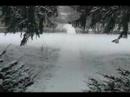 Snow/Christmas Spirit Snow/Christmas Spirit