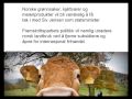 Valg 2009 - Fremskrittspartiets politikk på 2 minutter