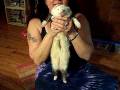 videos de DipsyHula.mov