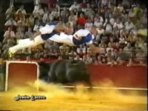 videos toros bous al carrer sustos y cogidas 6 para dvd