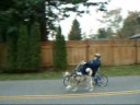 Sherman and Brenda - Our new bike