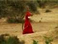 dans le desert du thar