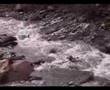 Freestyle Grischun Trailer Season 2006