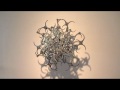 Cakra 2552-a (2008) by U-Ram Choe