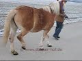 Heilungsverlauf chronische Rehe 1