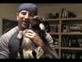 Cachorro-mij-o