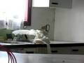 videos de M. Magoo prend sa douche
