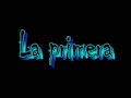 ENTRETENIMIENTO GATO