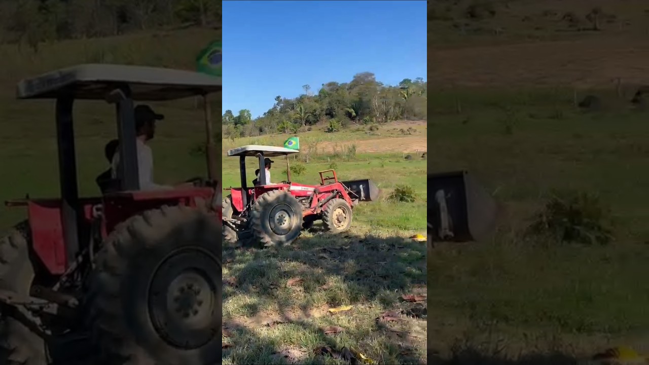 segunda feira começou bem #agro