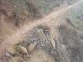 [MTB] Part circuit btt Alguaire