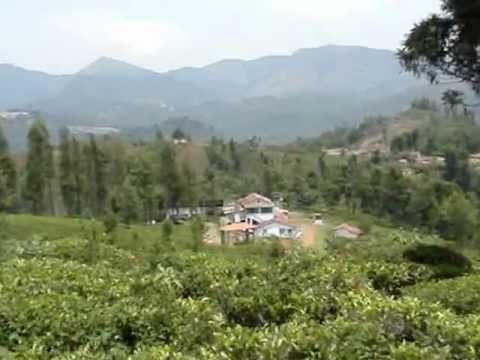 how to plan ooty trip