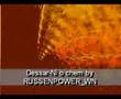 Dessar-Ni o chem _71332