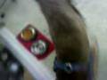 videos de MOV00012.3GP