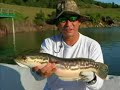 PMPP Teluk Bahang Dam Fishing