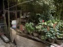 Hutong-Innenhof
