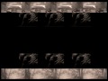TWO RITUALS OF EXHORCISM movie by Remigijus venckus 2005