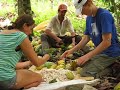La Iguana Chocolate Organic Cacao Costa Rica WWOOF La Iguana Chocolate Organic Cacao Costa Rica WWOOF