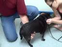 Nov 29 2008 - VID00081