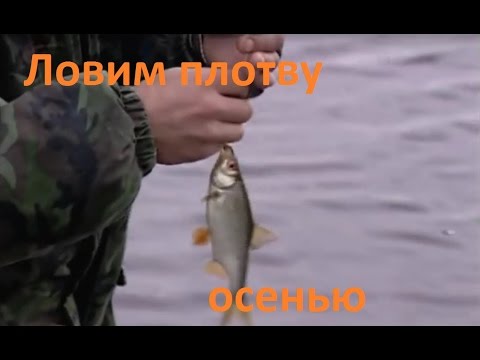 YouTube Трейлер