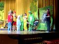 Musical Bürgerhaus Eilenburg Fröhliche Akkordeon-Asse