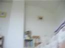 Home Alone