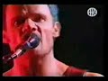 Red Hot Chili Peppers Live- Yertle Trilogy Red Hot Chili Peppers Live- Yertle Trilogy