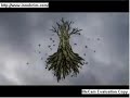 radiohead in rainbows all i need video by rinpa eshidan