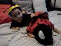 A Bugs' Life