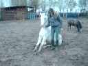 Silke & Vienna VD