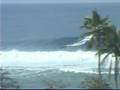 Tres Palmas Standup Paddle
