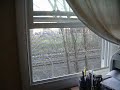 Acella Vid From My Window (1).mov Acella Vid From My Window (1).mov
