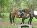 Moje kochanie :)