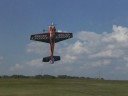 Budlight Yak 2
