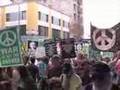 ピースウォーク ロサンゼルス STOP THE WAR 10/27/07