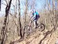 Moses vs. Tree