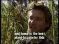 Hanf, Schweiz,Cannabis,Revolution,Hemp,Ganja