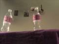 BotTLeS on ParTy!!!
