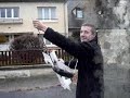 les pilotes deviennent fous