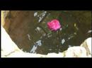 Tahirih - Divine Voice (part three)