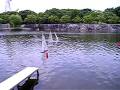 videos de RC yacht start YAM