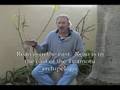 Kehauri: Te Aito Rahi Tuhaa I/The Great Warrior Part I