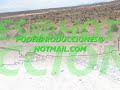 PRIMICIA CUMBIA SUREÑA CORASONCCO DEJAME QUERERTE