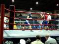 Luta de Boxe