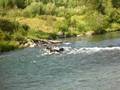 Warm River Rafting