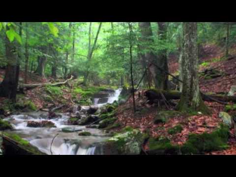 I Hear Things by Constant Drift (chill out, relax, great ambient music)