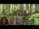 Ponies, Shovels & Darkness - \"I, Woman\" Ponies, Shovels & Darkness - \"I, Woman\"