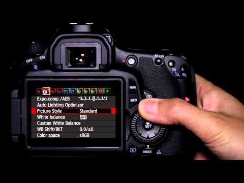 Canon EOS 60D Tutorial - Picture Style Operation 10/14