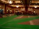 Sammy at the Nationals