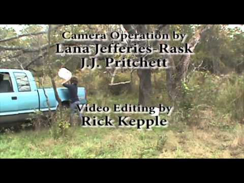 how to harvest walnuts by hand